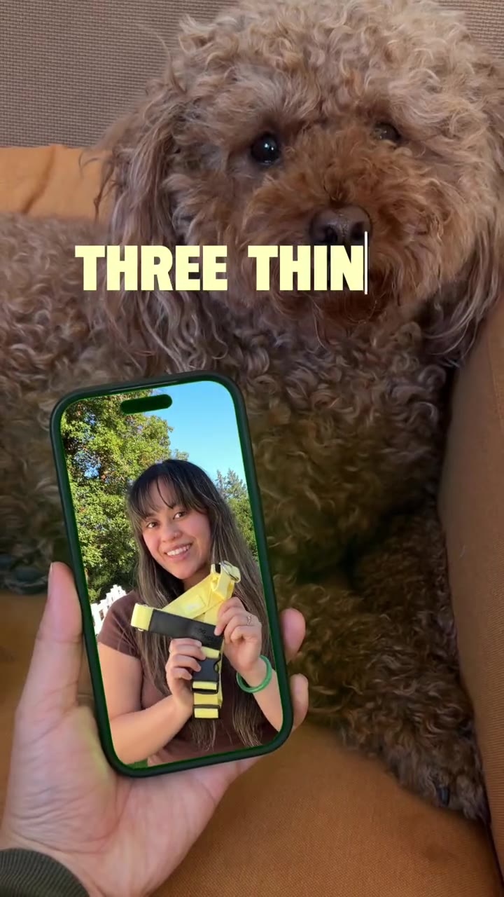 Preview of Dog Friendly Co No Pull Bundle Reel